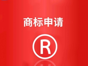 山东商标注册