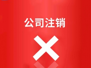山东公司注销