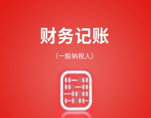 山东代理记账(一般纳税人)