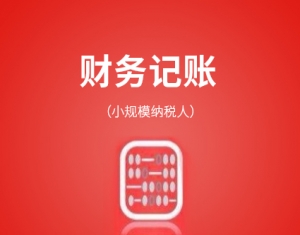 山东代理记账(小规模企业)