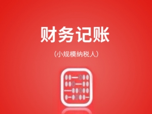 山东代理记账(小规模企业)