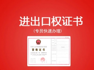 进出口权证办理